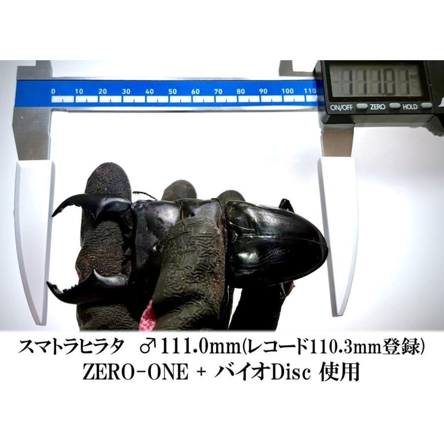 ギネス更新 スマトラオオヒラタ110.3mm【DDA】ZERO-ONE 菌糸 2300