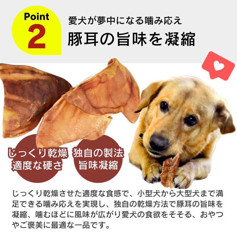 ドッグフード 犬用おやつ