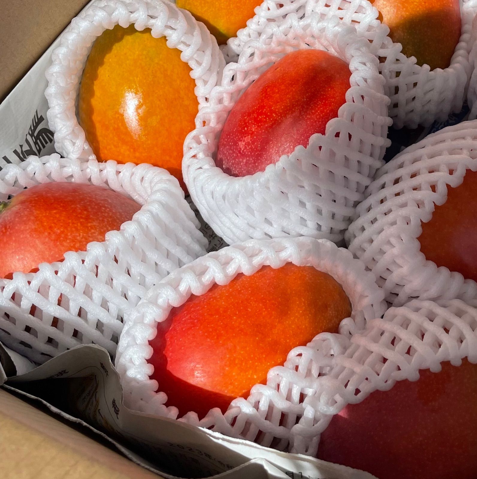沖縄県 豊見城産 アップルマンゴー 2kg - メルカリ 沖縄県 豊見城産 アップルマンゴー 2kg - メルカリ
