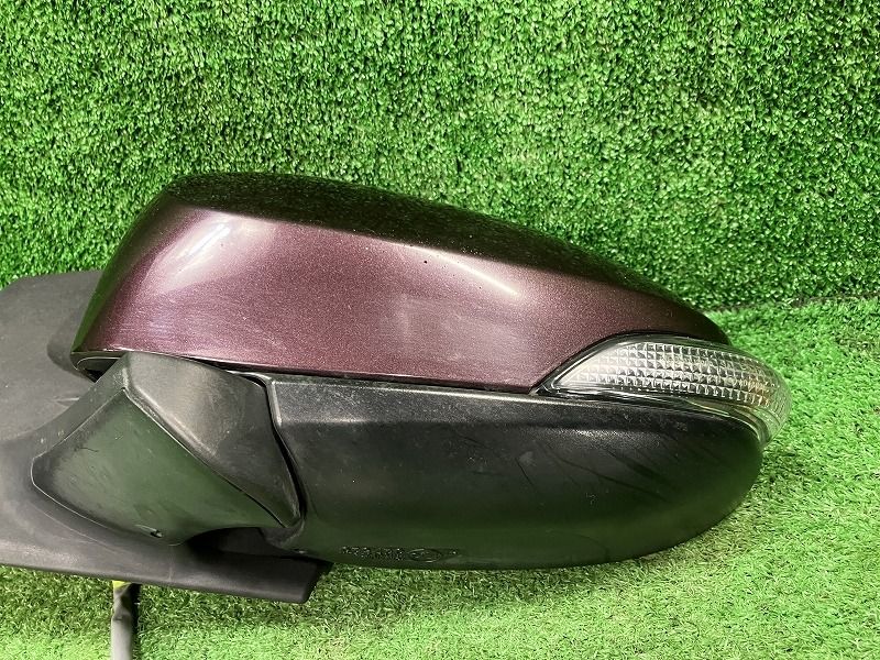 S トーカイリカ