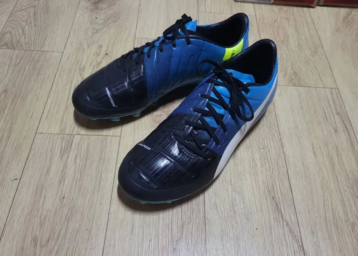 プーマ サッカースパイク エヴォパワー VIGOR 1 グラフィック FG PUMA