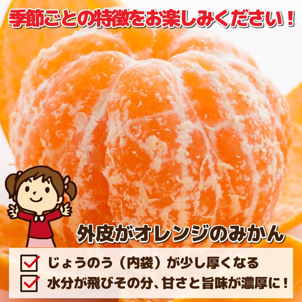 愛媛みかん（14日以内発送）特に訳あり 愛媛みかん10kg+保証分500g（合計 箱込10.5kg） 愛媛の農家・青果市場から直送！！ ※北海道・沖縄離島 発送不可