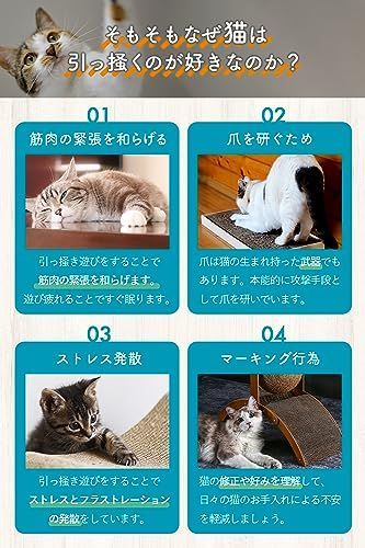 アーチ型 GIVALUE 爪研ぎ 猫 猫おもちゃ 【工場出荷数25000個 ...