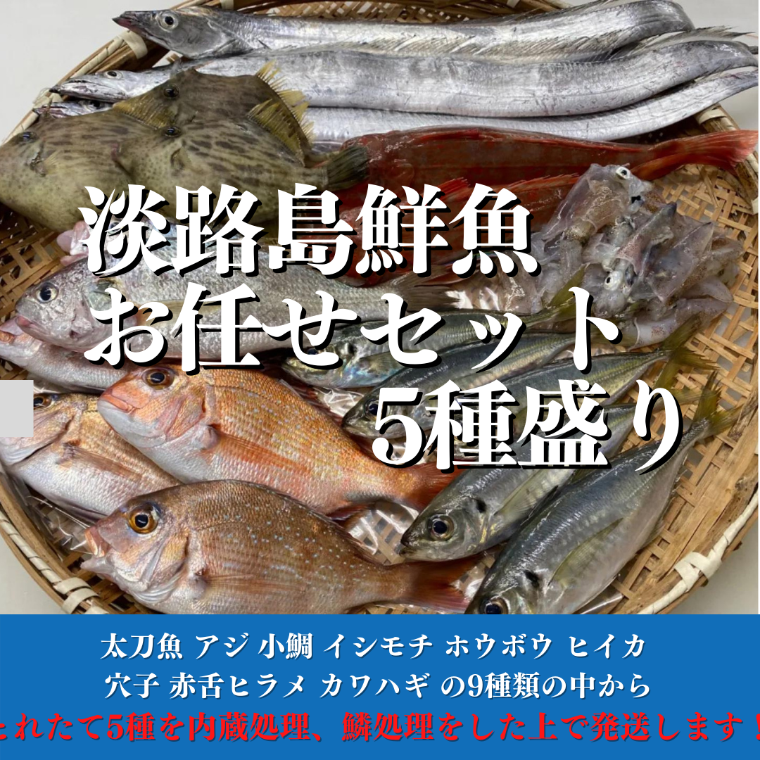 淡路島仮屋漁港昼網！淡路島鮮魚5種セット