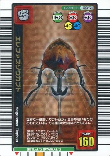 人気商品・限定商品ばかりの「超得 半額福袋」が販売開始 中古】ムシキング 005[銅]：エレファスゾウカブト - メルカリ その他