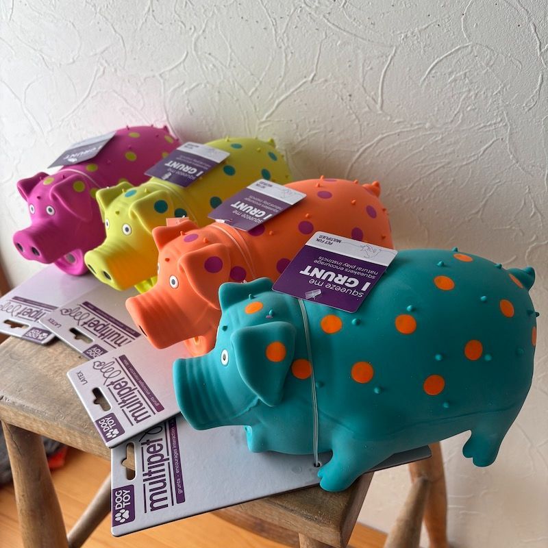 ラテックスグランティングピッグMULTIPET Grunting Pigs 9"