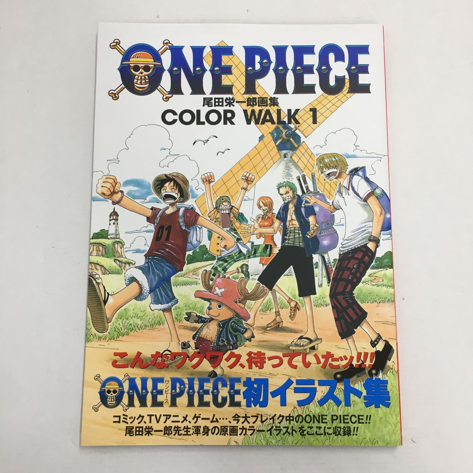 02m0557 ONEPIECE ワンピース 尾田栄一郎画集 COLOR WALK 2冊 + レシピ