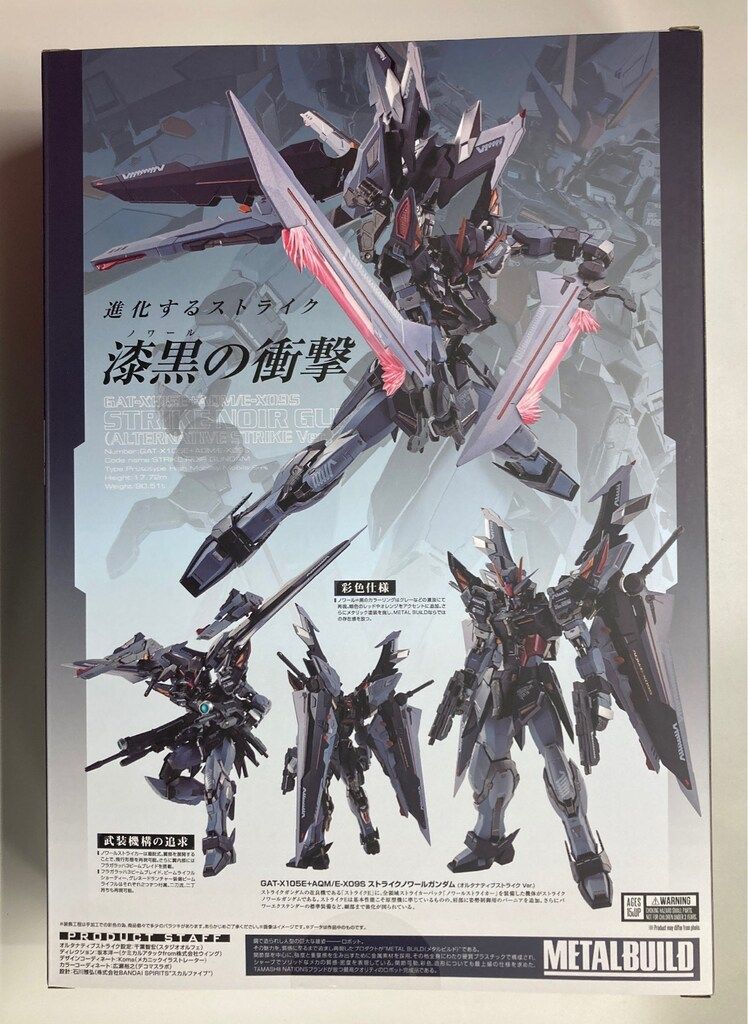 BANDAI SPIRITS METAL BUILD 機動戦士ガンダムSEED C.E.73