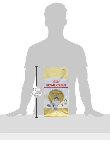 2kg