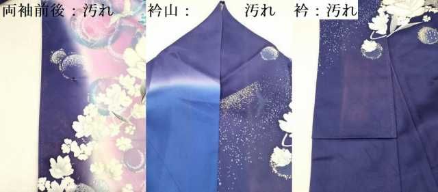 平和屋着物□フランソワーズ・モレシャン 振袖 花鳥文 暈し染め