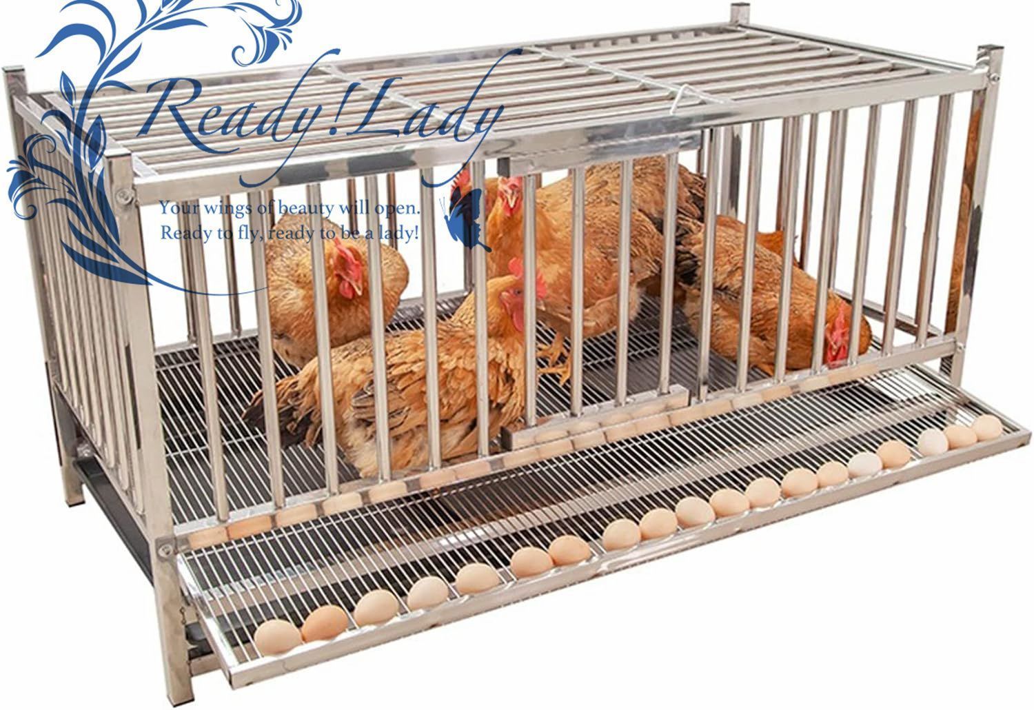 ステンレス鋼鶏用ケージ 鶏小屋 鶏かご 鶏が産卵するのに最適 自家繁殖鶏ケージ 屋外多層ステンレス鋼ケージ フードボウル ウォーターボウ