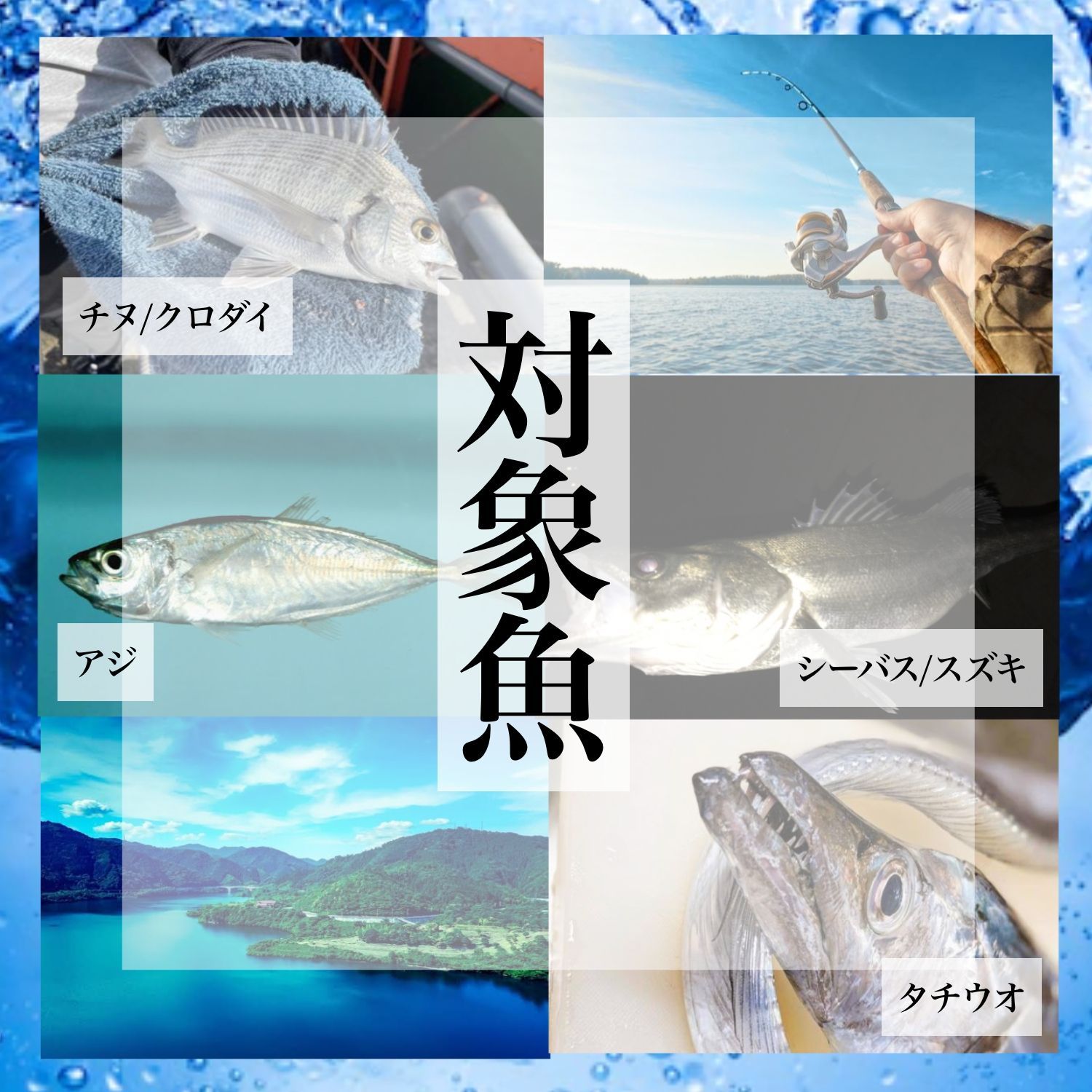 釣り道具 釣具 ルアー エギ メタルジグ セット ジグパラ ジャックアイマキマキ 6個セット 5.5g