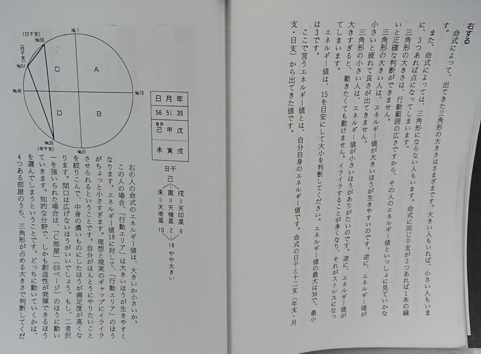 占い 算命術テキスト＋四柱推命 日干表セット お値打ち価格