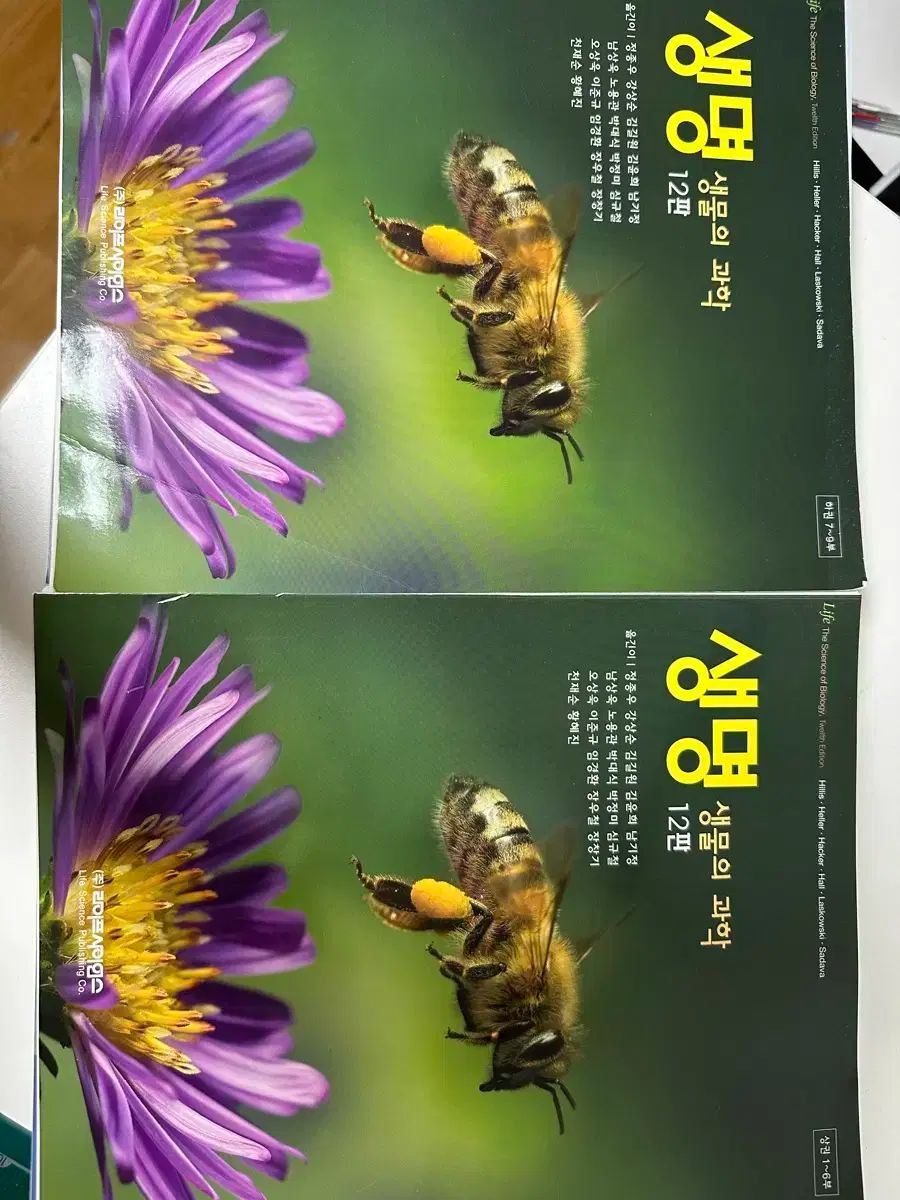 古銅 珍獣置物 831g 20.5㎝ トトオ 東さ7-0708☆2F