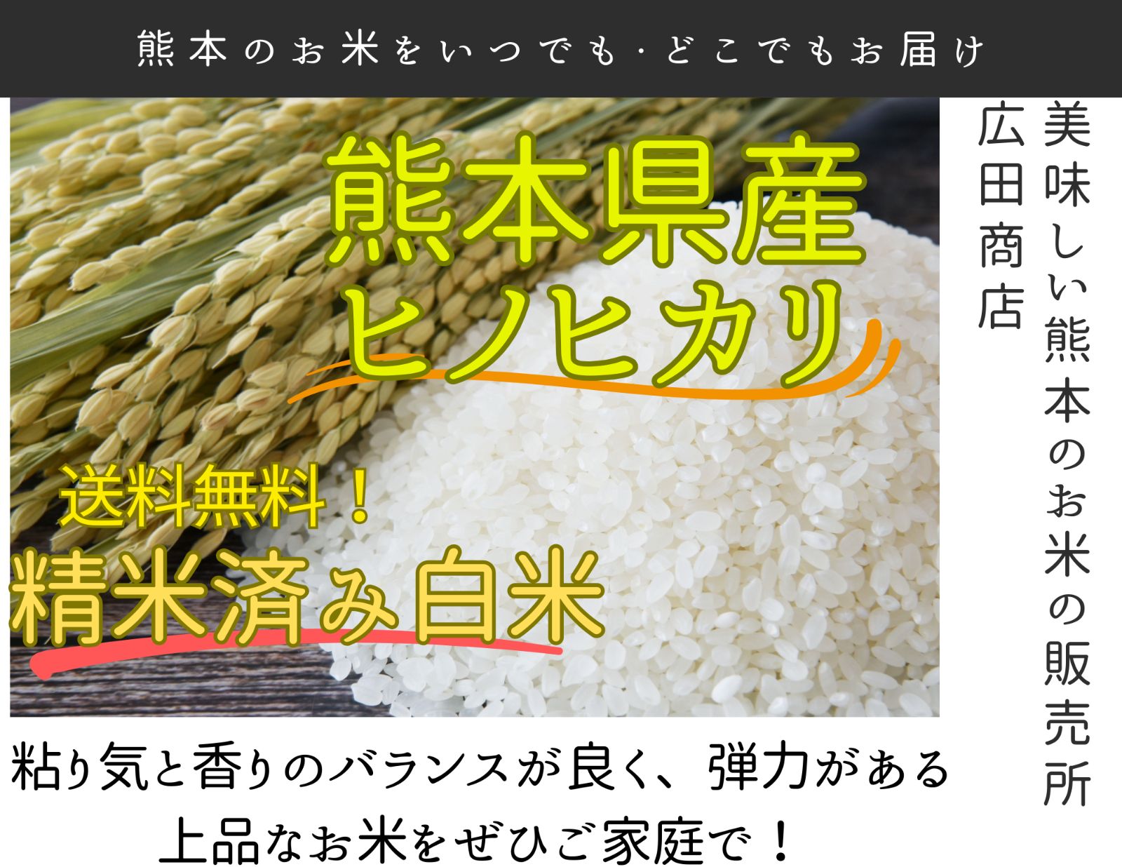 精米済み白米 熊本県産ひのひかり約27キロ 令和6年産 袋込み