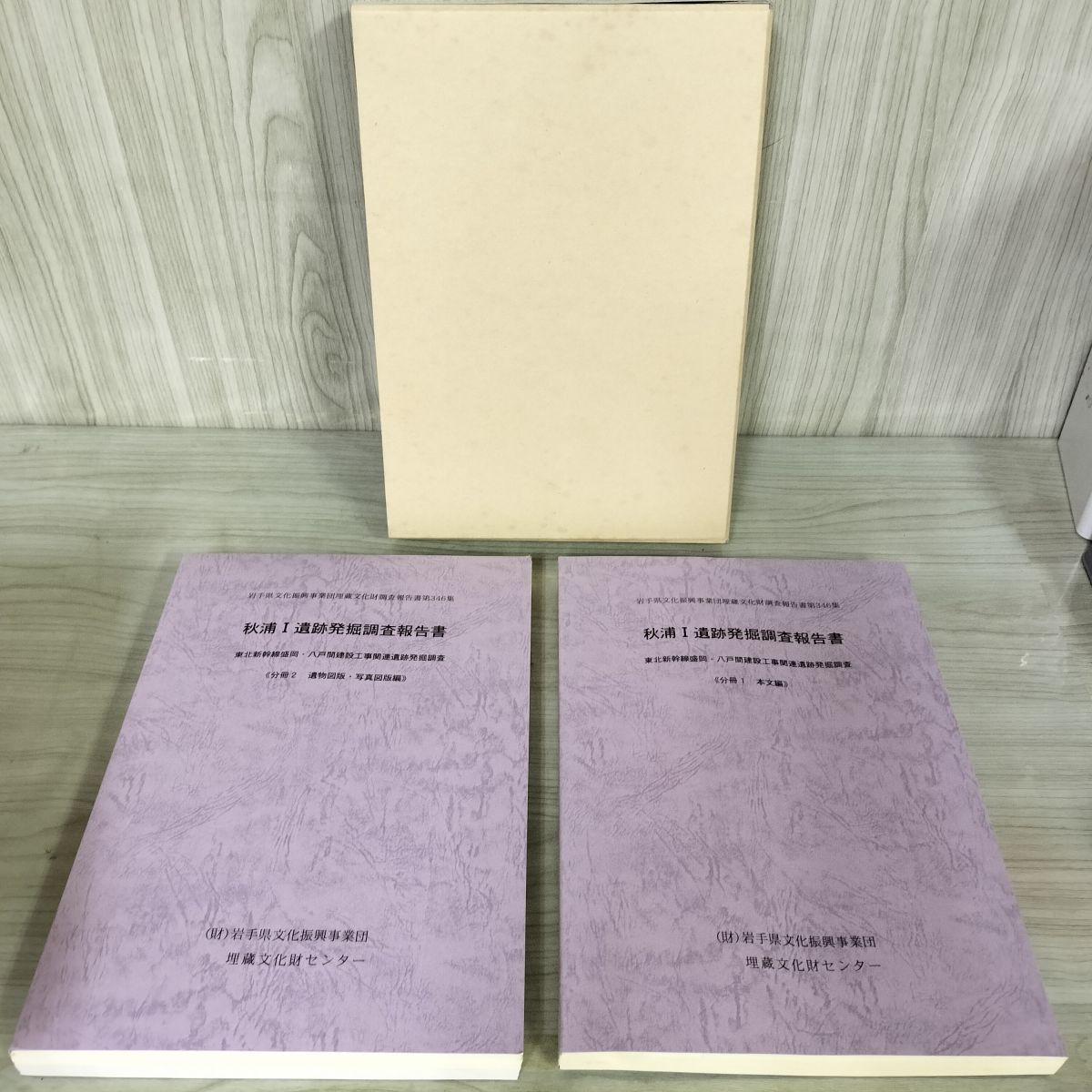 押出遺跡発掘調査報告書(本文編)(図版・表・分析編) maiokahoukoku1.jpg