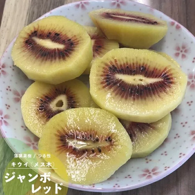 2026年最新】キウイ花粉の人気アイテム - メルカリ