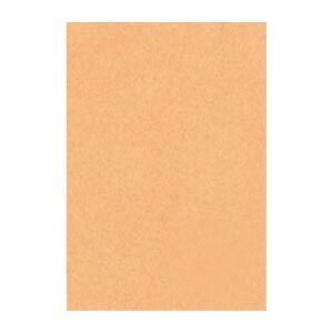 リンテック ニュー Ｒ 8 NCR-109 うすちゃ