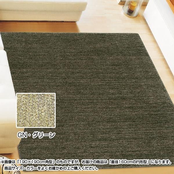 アスワン ムシカビクリーンカーペット(防虫・防ダニ・防カビ・抗菌) MC-100 160cm円形 GN・グリーン CA606435