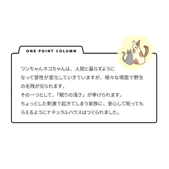 犬 ハウス