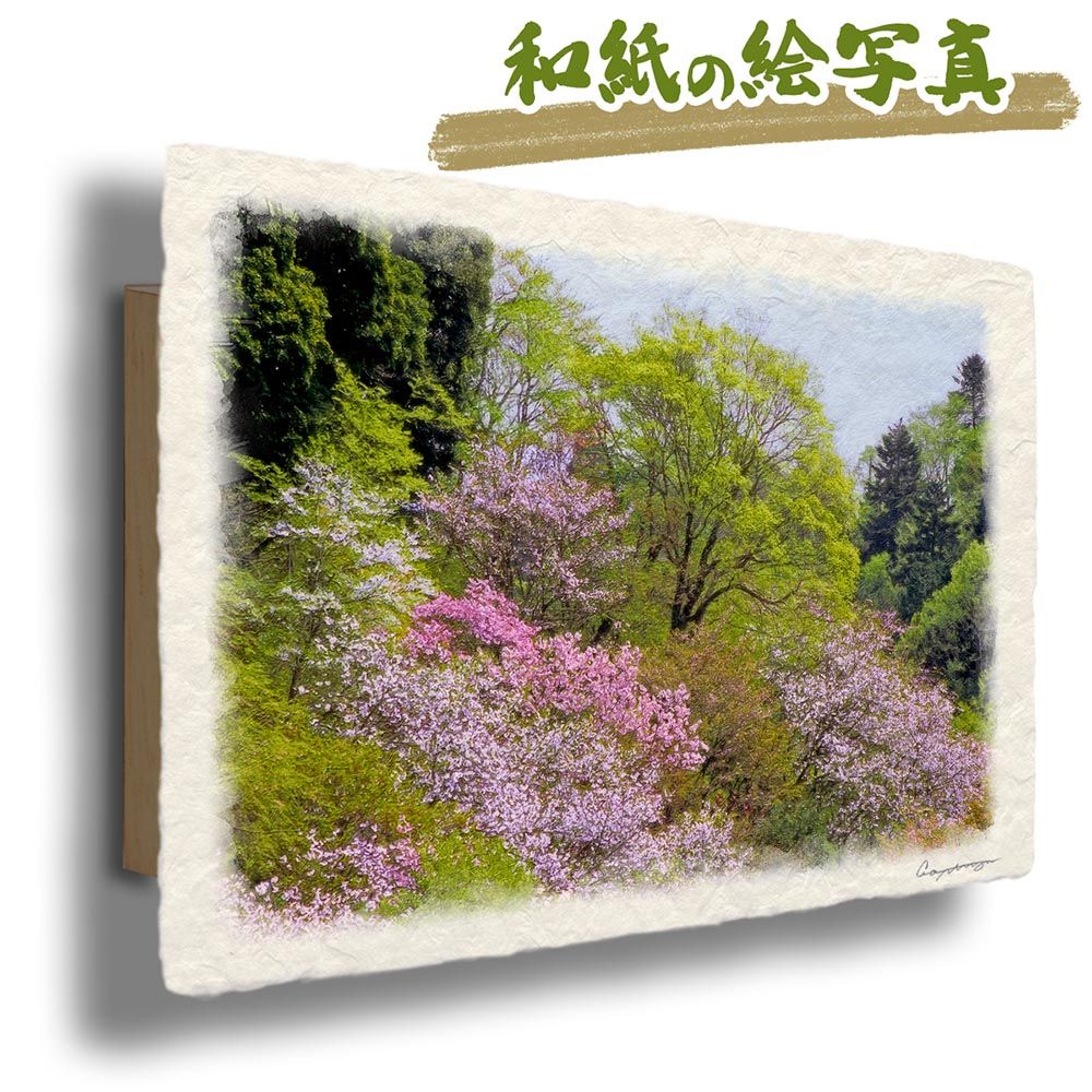 和紙の絵写真 「朝霧のニッコウキスゲの湿原」 パネル付き 48x33cm