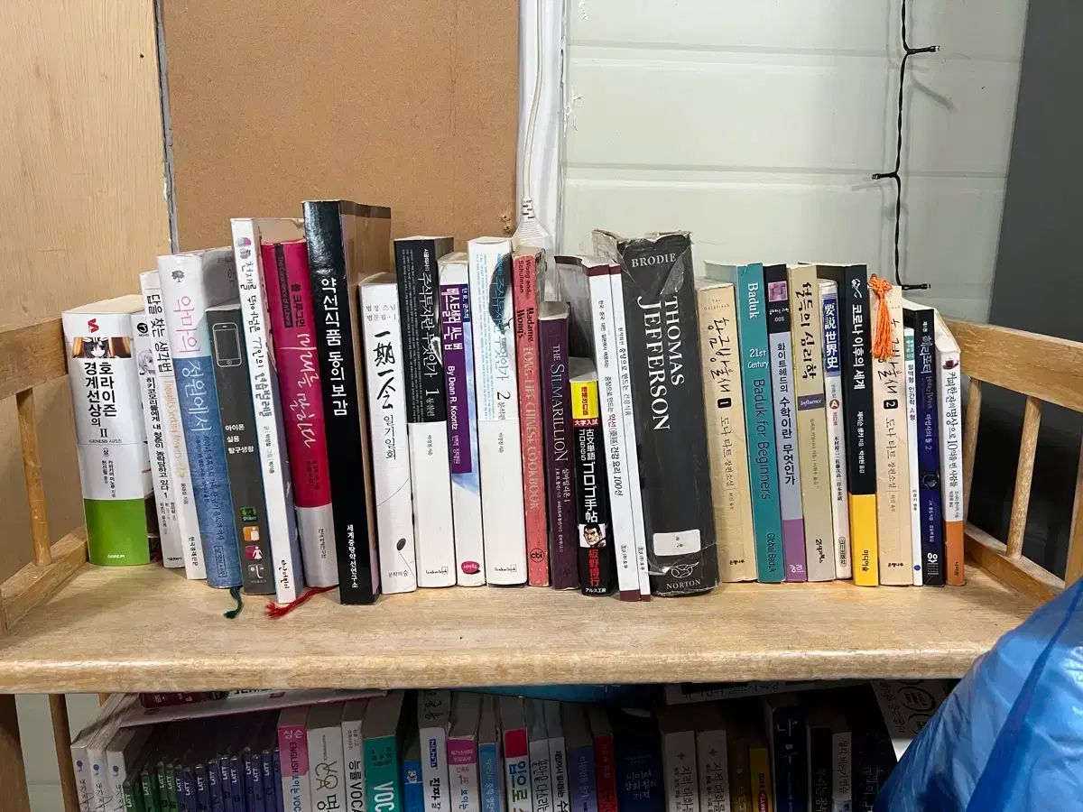 有名な 長編小説 自己啓発 自伝 ブックコレクション