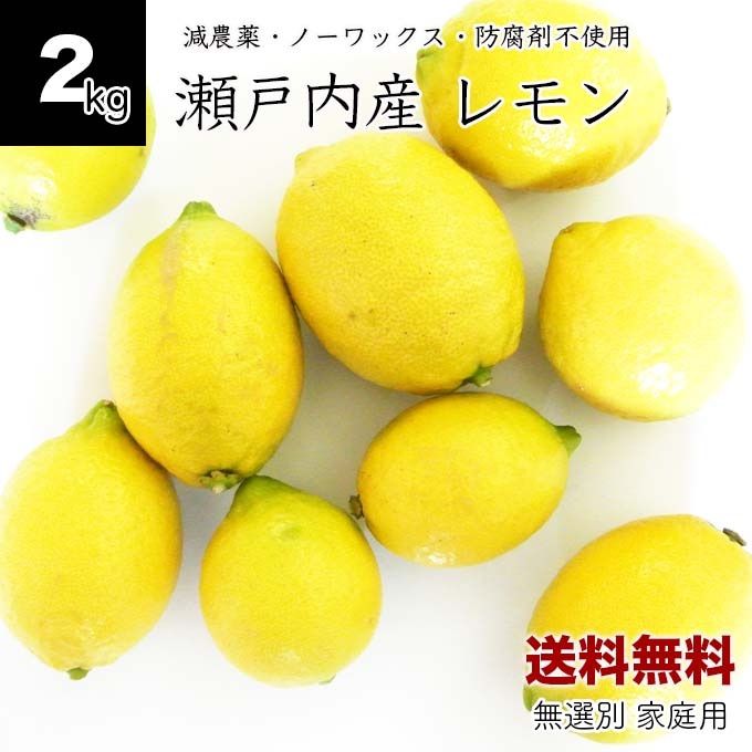 訳あり産地直送 広島県産レモン 2 5キロ 無農薬、ノーワックス、防腐剤不使用 - 果物