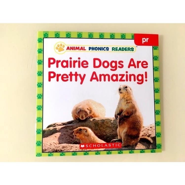 洋書 scholastic phonics 新品】Animal Phonics Readers 英語絵本24冊 音源CD付 スカラ
