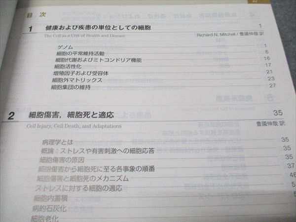 エルゼビアジャパン ロビンス 基礎病理学 原書10版 2018 Kumar