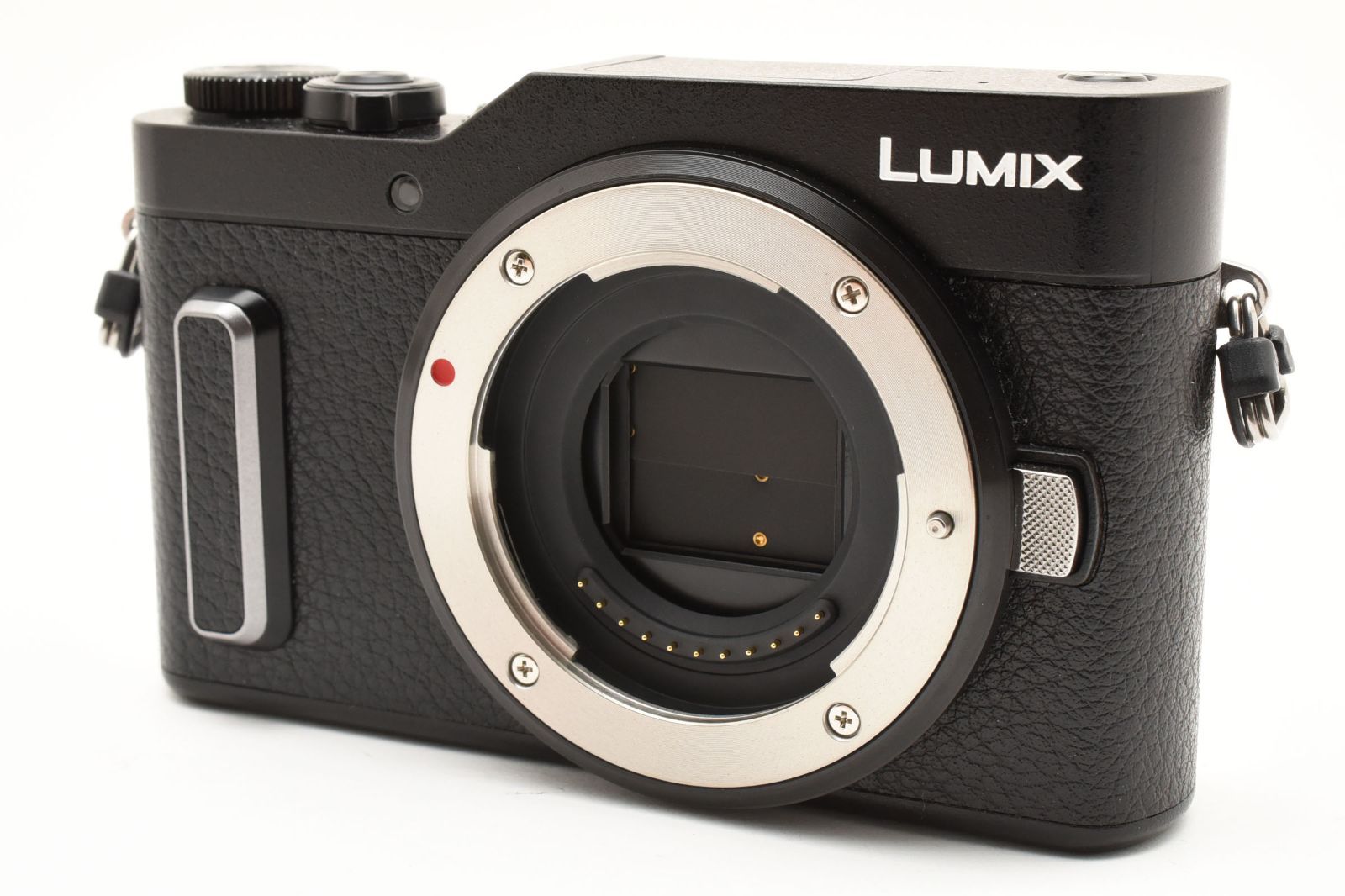 Panasonic DC-GF10