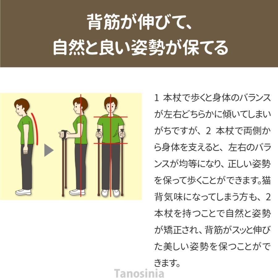 来店をご期待! ウォーキングポール 高齢者 伸縮 シナノ もっと安心2本杖 滑りにくい先ゴム 2本1組 シニア ウォーキング 杖 2本杖 二本杖 おしゃれ おすすめ 転倒予防 リハビリ ポータブル
