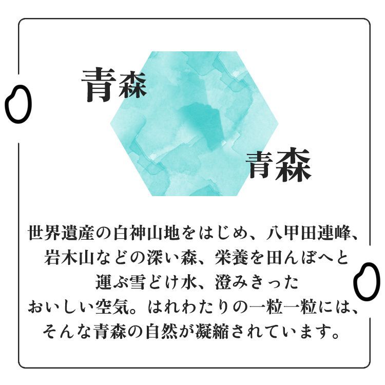 青森新ブランド 米