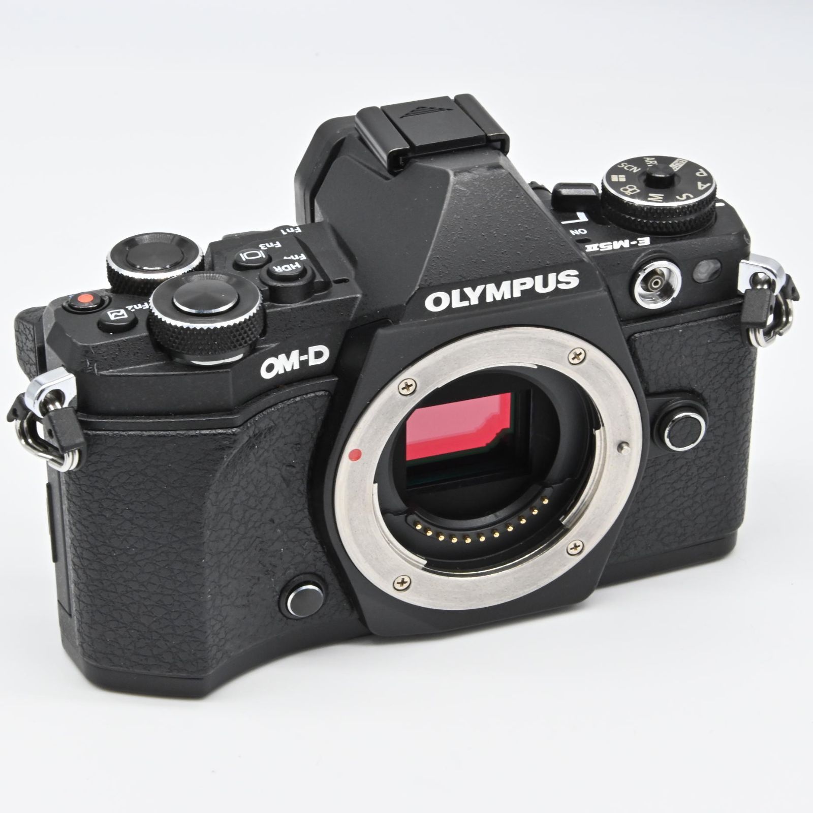 OLYMPUS ミラーレス一眼カメラ OM-D E-M5 MarkII ボディー ブラック