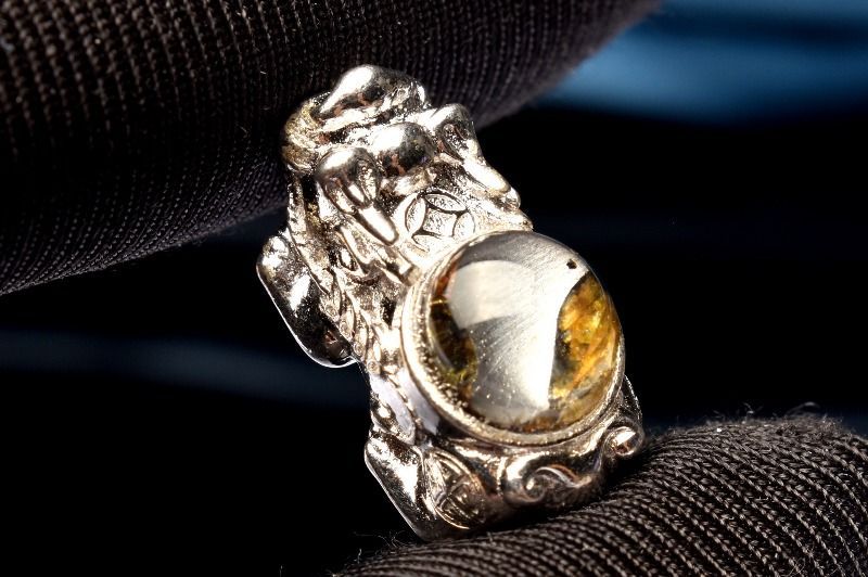 シルバー925◇希少 パラサイト隕石 8mm 貔貅 ペンダントトップ 1個売り