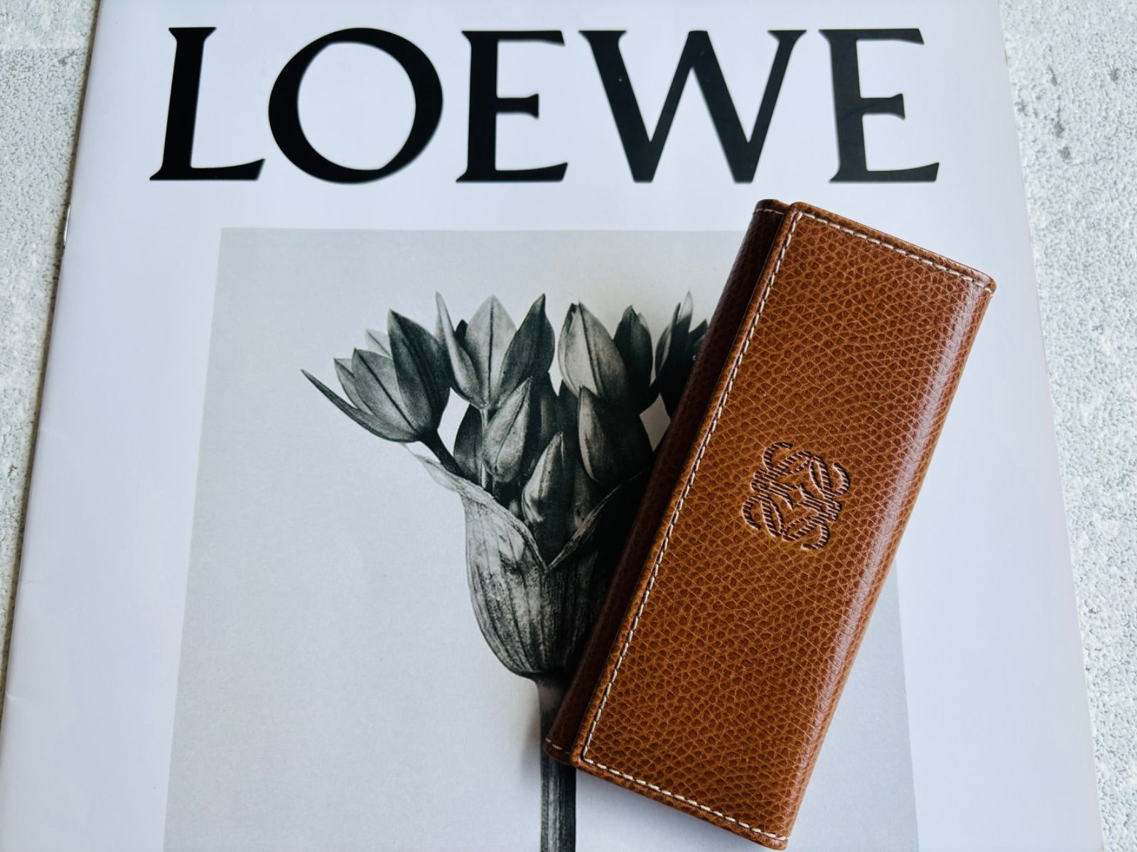LOEWE アナグラム型押し キーケース ブラウン