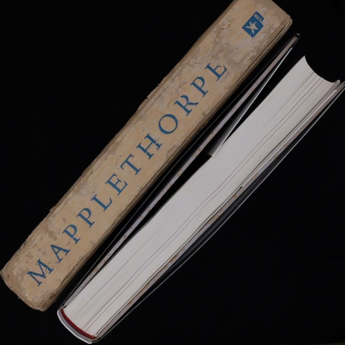 Mapplethorpe」ロバート・メイプルソープ写真集 UPLINK 1994年 384p