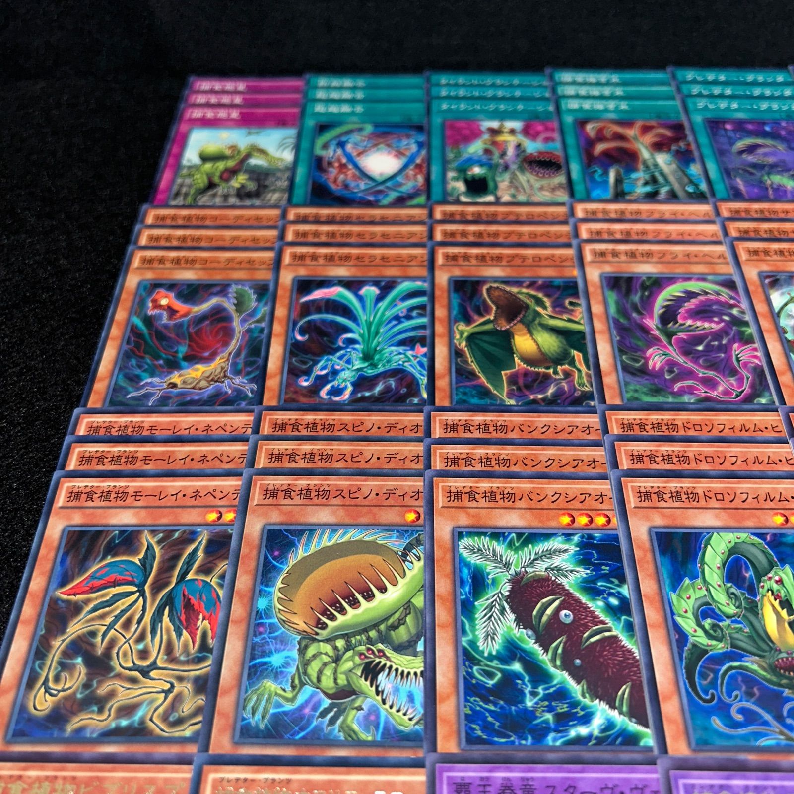 捕食植物堕天使デッキ 遊戯王 捕食植物堕天使デッキ 遊戯王 捕食植物堕天使