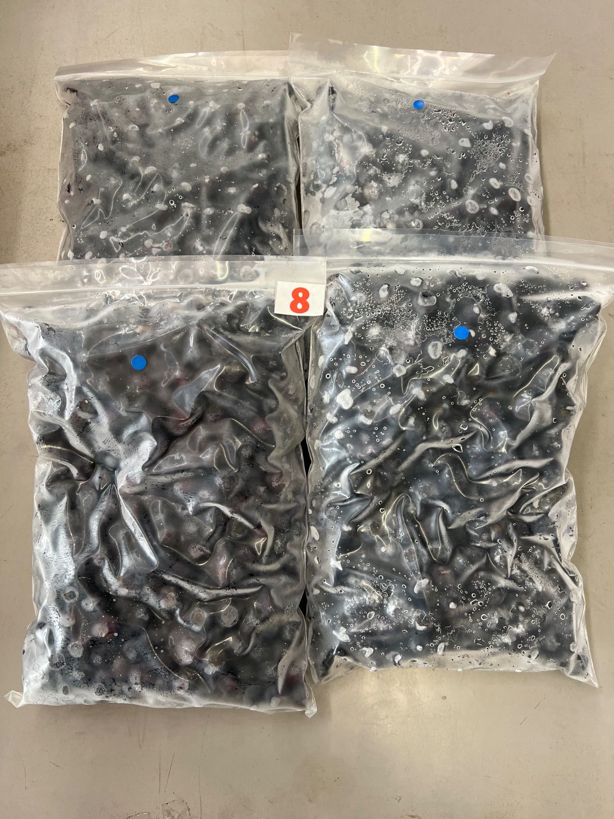 冷凍中粒ブルーベリー4kg