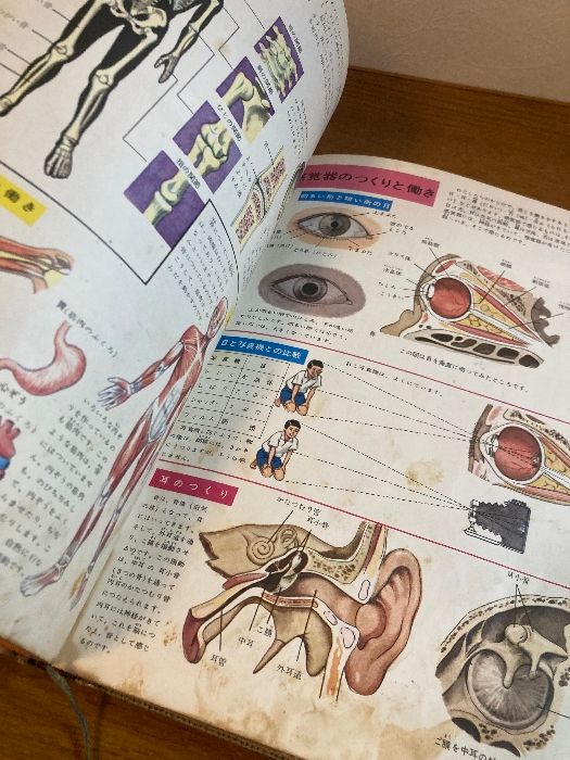 s*6様 ★昭和40年代★小学館 学習図鑑★ 全28巻揃い!!★函つき★昭和レト ☆昭和40年代☆小学館 学習図鑑☆ 全28巻揃い!!☆函