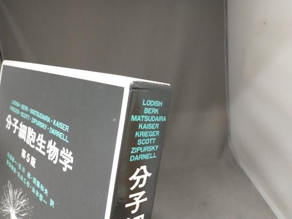 分子細胞生物学 第5版 H.ロディッシュ - メルカリ