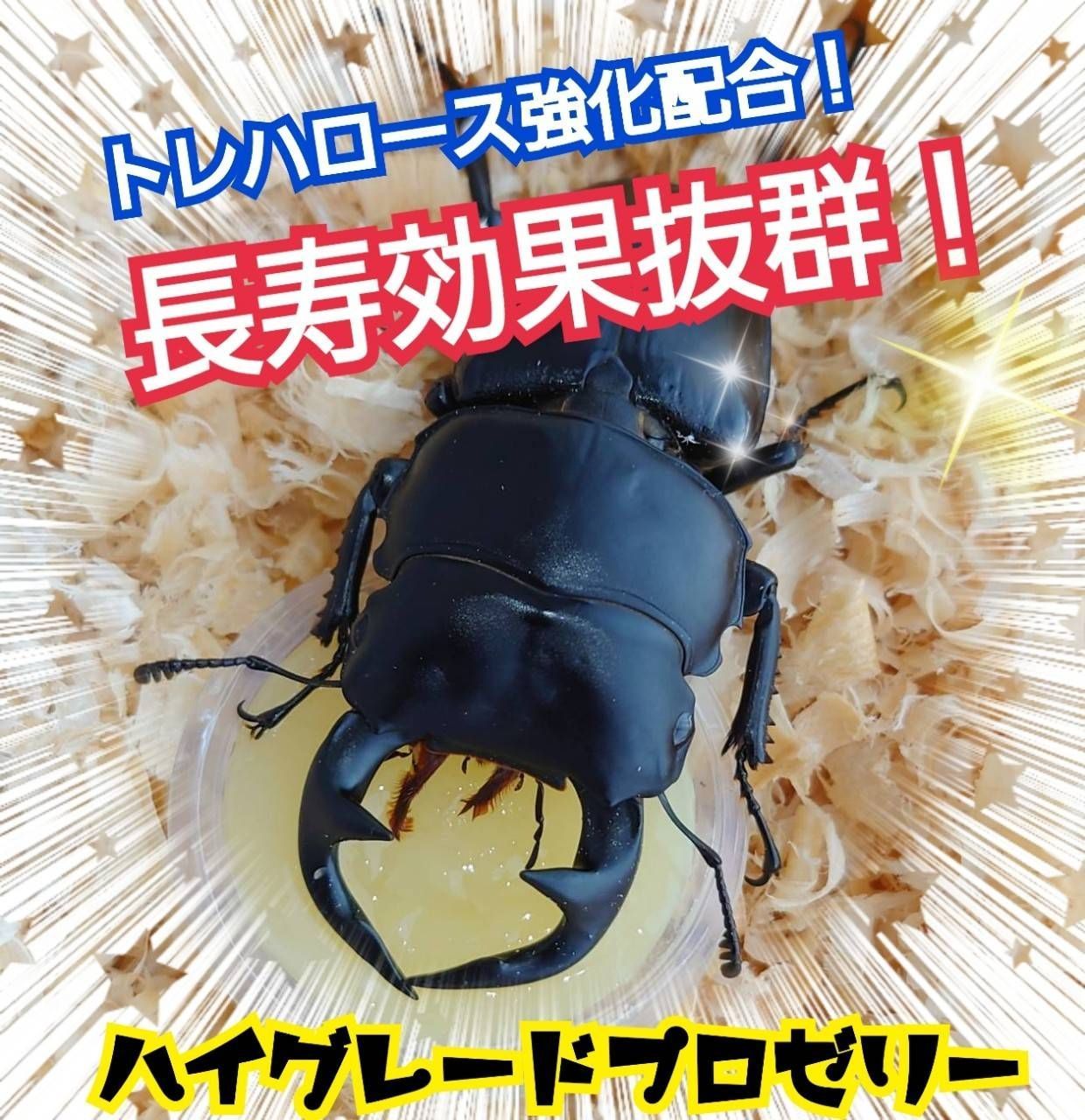 メルカリshops 特選ハイグレードプロゼリー 100個 クワガタの餌 カブトムシの餌 昆虫ゼリー