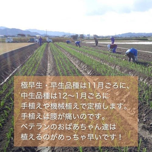 のサムネイル