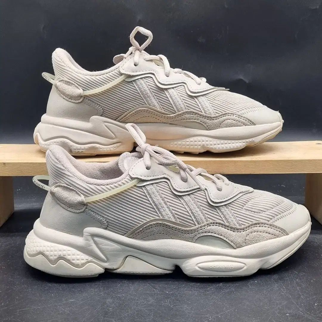 けんページ 3本セット adidas(アディダス) オズウィーゴ 240_