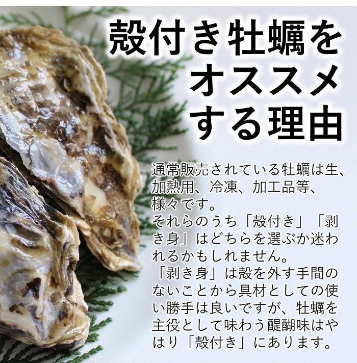 生食OK 三陸産 殻付き 生牡蠣 7kg 今季初出し 希少 数量限定 新鮮 宮城 石巻 鉄分 ミネラル豊富 希少 カキ バーベキュー 貝 魚介類 かき 贈答 パーティ 刺身 焼く 蒸す 揚げ 漬け カキフライ 鍋 栄養 誕生日 プレゼント 海の幸 贈り物 逸品