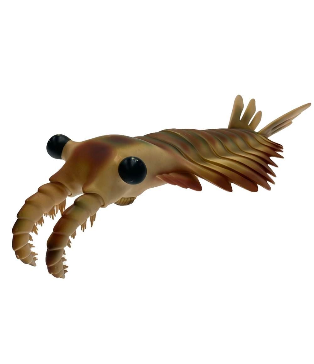 NHK フィギュア ソフビフィギュア NHK生命40億年はるかな旅