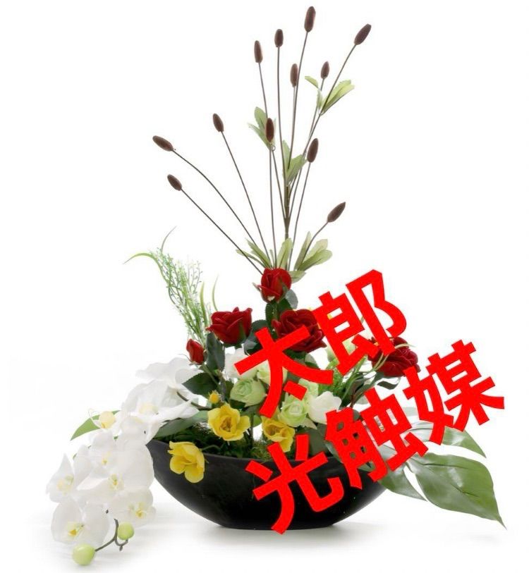 光触媒 人工観葉植物 ウォールグリーン フェイクグリーン