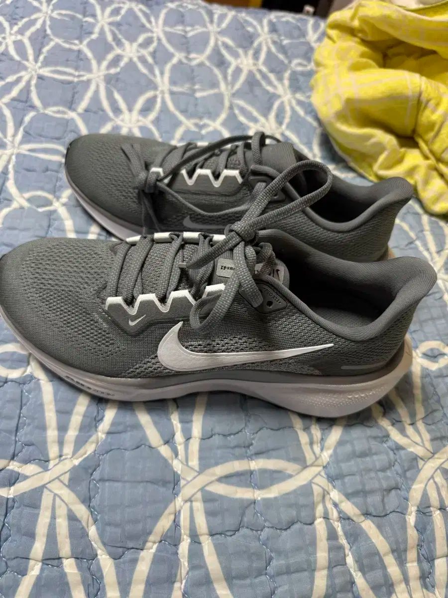  ナイキ ペガサス41 その他 武道 格闘技