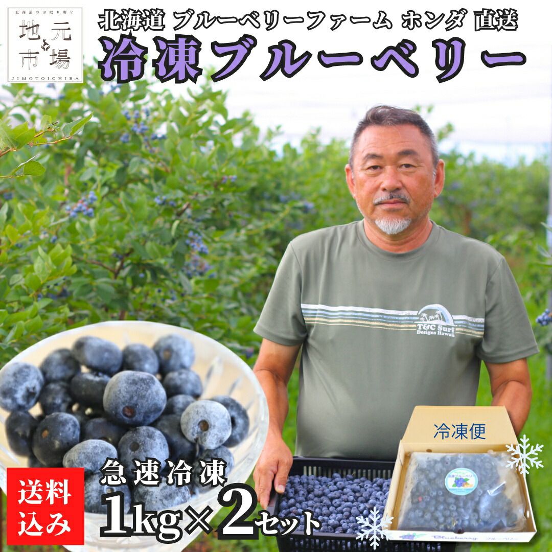 無添加 冷凍ブルーベリー 2kg (1kg×2袋) 冷凍果 フルーツ 北海道 農園直送 ベリーベリーファームホンダ 朝採り 急速冷凍 函館市