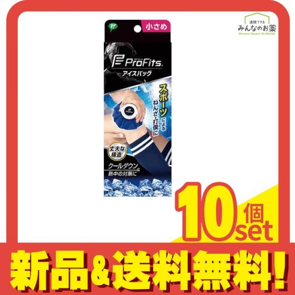 プロ フィッツ アイスバッグ 1個入 小さめサイズ 10個セット