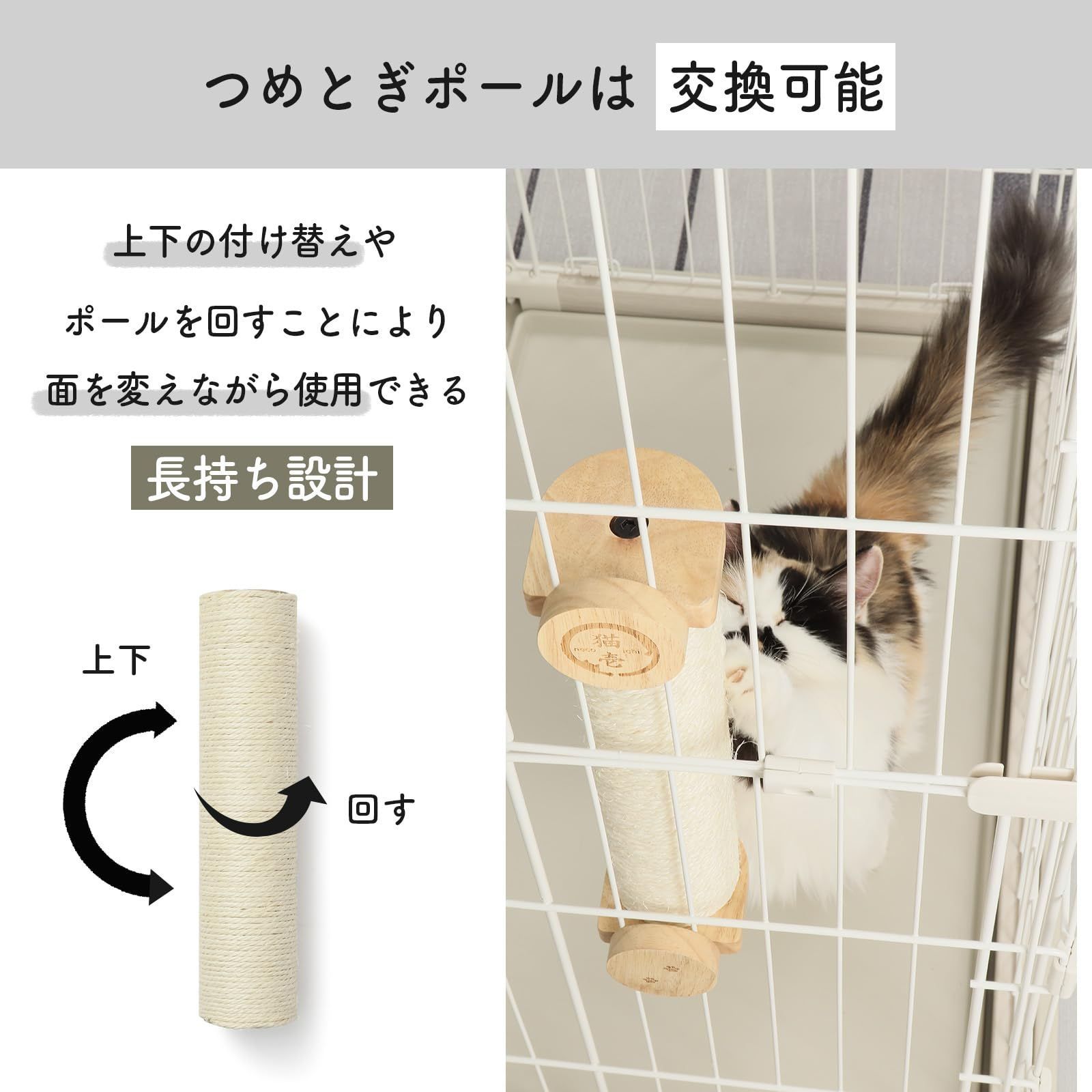 お急ぎ下さい 猫壱